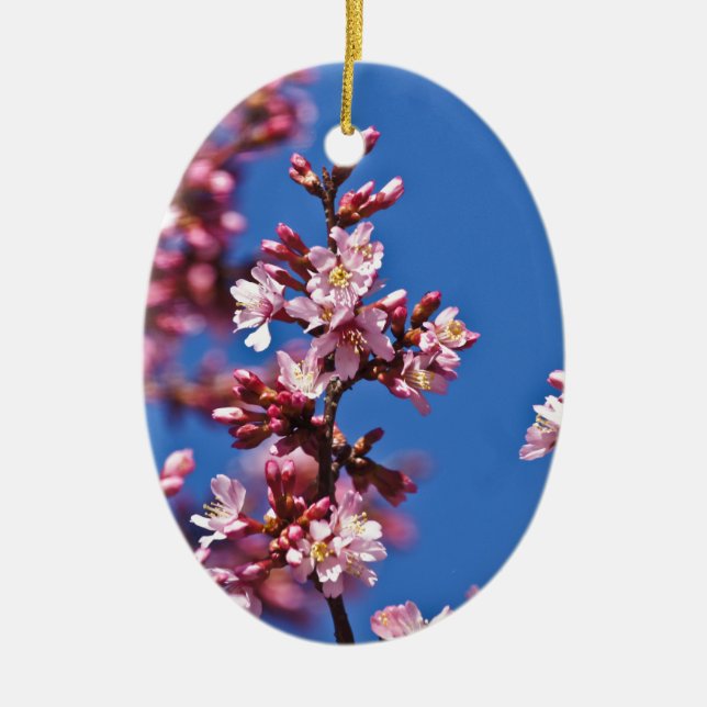Sakura Cherry Blüten Touch Blue Keramikornament (Vorne)