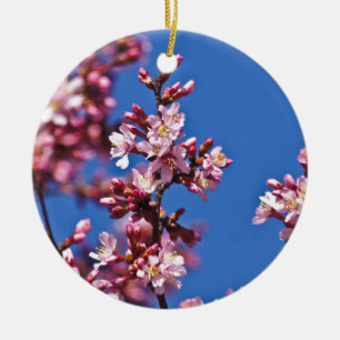 Sakura Cherry Blüten Touch Blue Keramikornament
