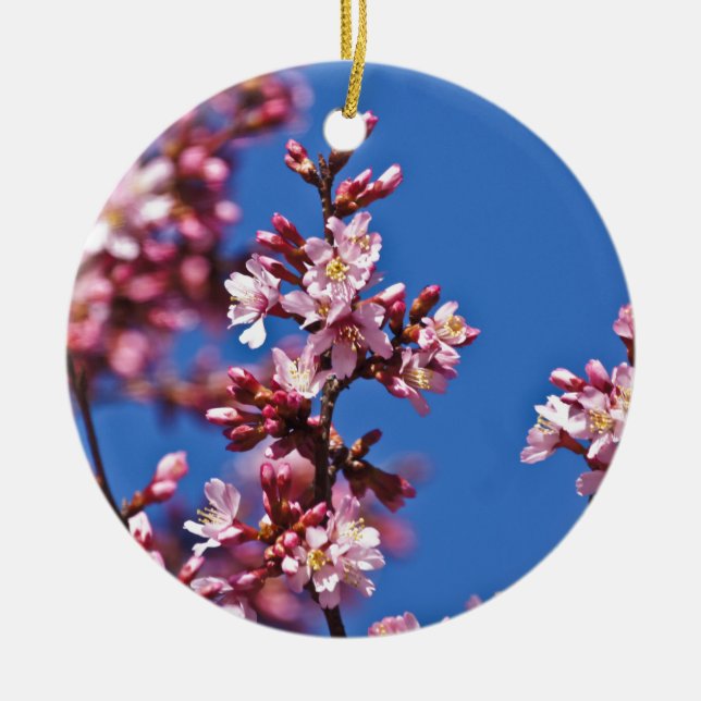 Sakura Cherry Blüten Touch Blue Keramikornament (Vorne)