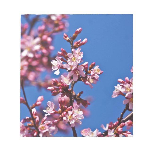 Sakura Cherry Blüten Touch Blue Notizblock (Vorderseite)