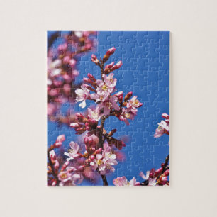 Sakura Cherry Blüten Touch Blue Puzzle