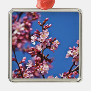 Sakura Cherry Blüten Touch Blue Silbernes Ornament
