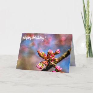 Sakura Cherry Tree Buds. Frühlingsbeginn Karte