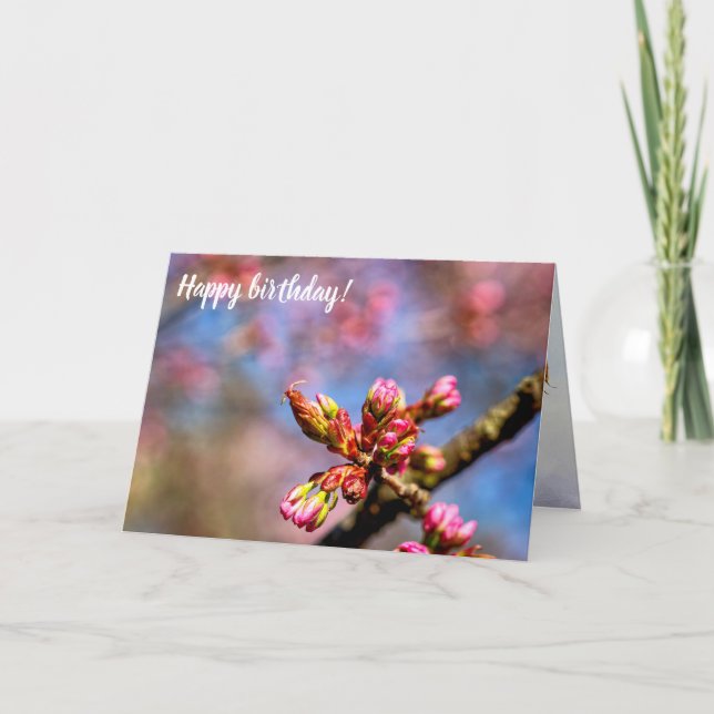 Sakura Cherry Tree Buds. Frühlingsbeginn Karte (Vorderseite)