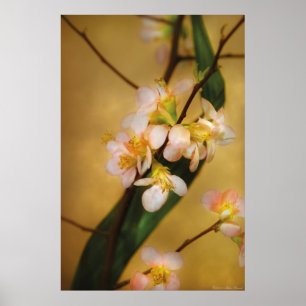 Sakura - Ein Hauch von Frühling Poster