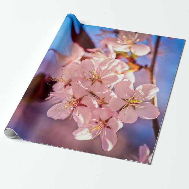 Sakura im Baumschatten Geschenkpapier (Ungerollt)