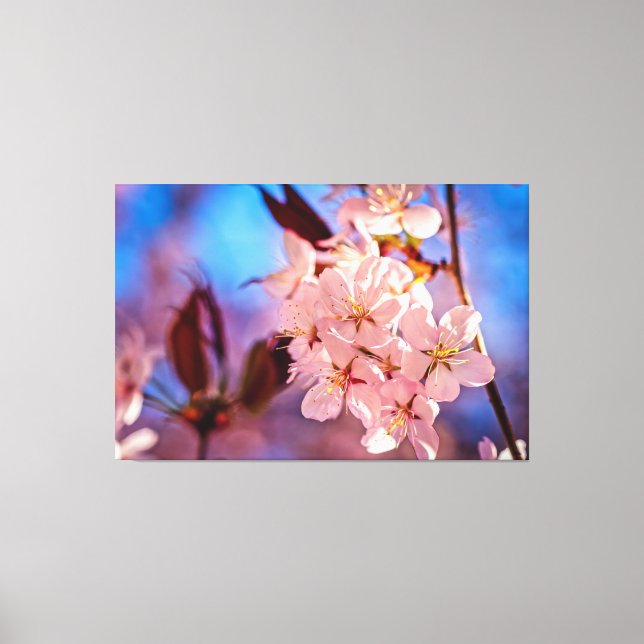 Sakura im Baumschatten Leinwanddruck (Vorderseite)