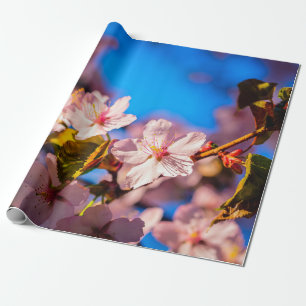 Sakura in Rosa und Blau Geschenkpapier