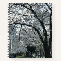 Sakura Jahreszeit in Shinjuku