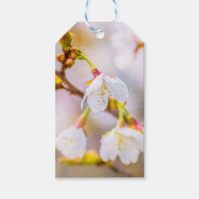 Sakura - Japanischer Kirschblossom Geschenkanhänger (Vorderseite)