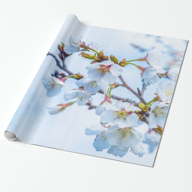 Sakura - Japanischer Kirschblossom Geschenkpapier (Ungerollt)