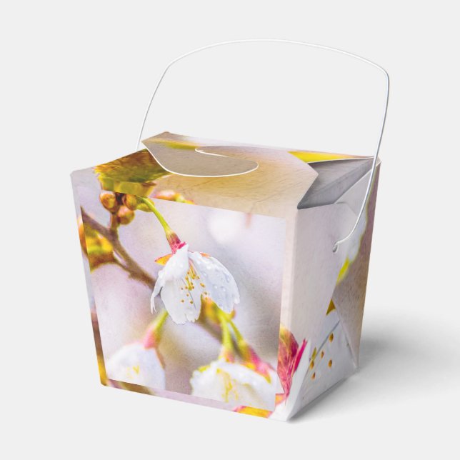 Sakura - Japanischer Kirschblossom Geschenkschachtel (Vorderseite)