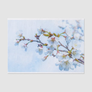 Sakura - Japanischer Kirschblossom Seidenpapier