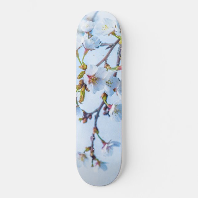 Sakura - Japanischer Kirschblossom Skateboard (Vorderseite)