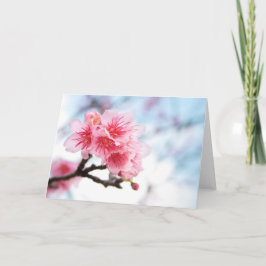 Sakura Karte