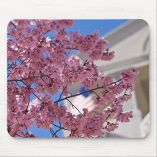 Sakura Kirschblüten Americana Mousepad