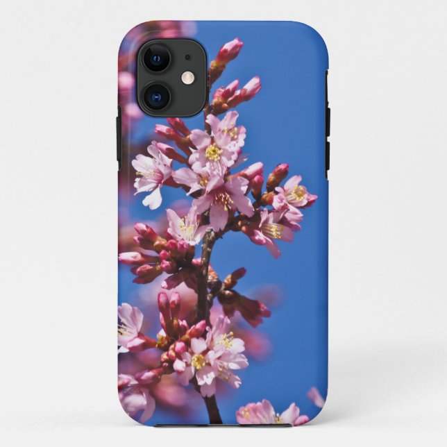 Sakura Kirschblüten berühren Blau Case-Mate iPhone Hülle (Rückseite)