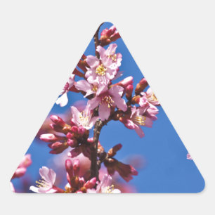Sakura Kirschblüten berühren Blau Dreieckiger Aufkleber