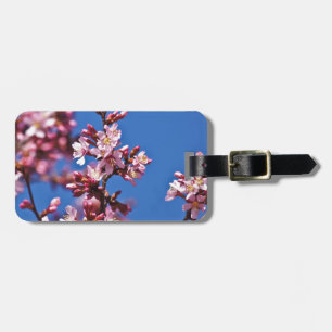 Sakura Kirschblüten berühren Blau Gepäckanhänger