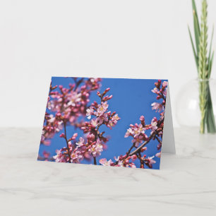 Sakura Kirschblüten berühren Blau Karte