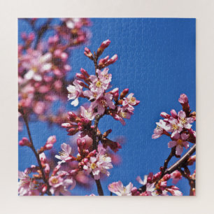 Sakura Kirschblüten berühren Blau Puzzle