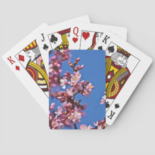 Sakura Kirschblüten berühren Blau Spielkarten