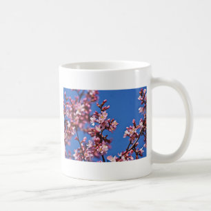 Sakura Kirschblüten berühren Blau Tasse