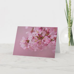 Sakura Kirschblüten Blasse rosa Reflexionen Karte
