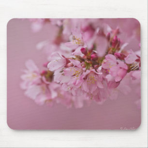 Sakura Kirschblüten Blasse rosa Reflexionen Mousepad