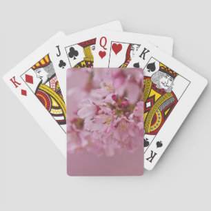 Sakura Kirschblüten Blasse rosa Reflexionen Spielkarten
