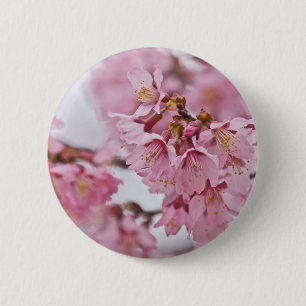 Sakura Kirschblüten Blassrosa Button