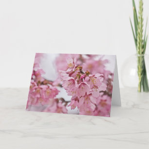 Sakura Kirschblüten Blassrosa Karte