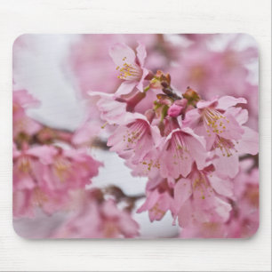 Sakura Kirschblüten Blassrosa Mousepad