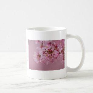 Sakura Kirschblüten Blassrosa Reflektionen Kaffeetasse
