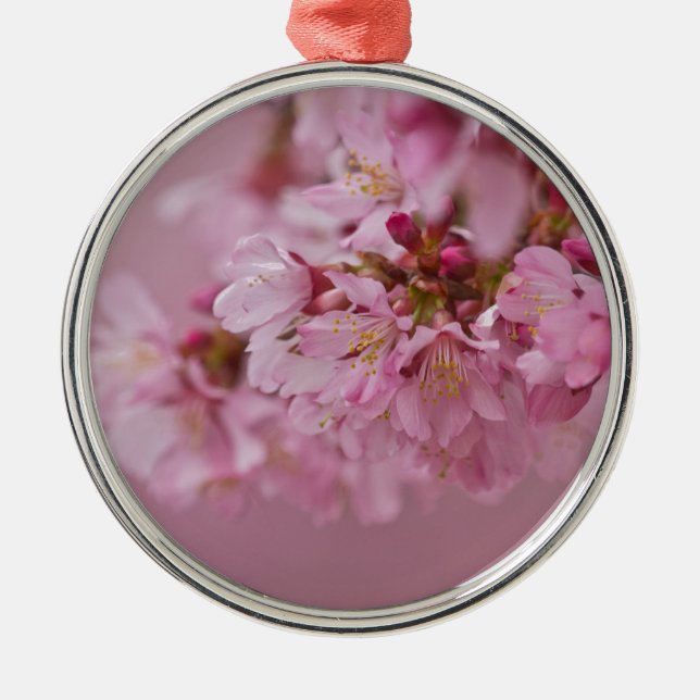 Sakura Kirschblüten Blassrosa Reflektionen Silbernes Ornament (Vorne)
