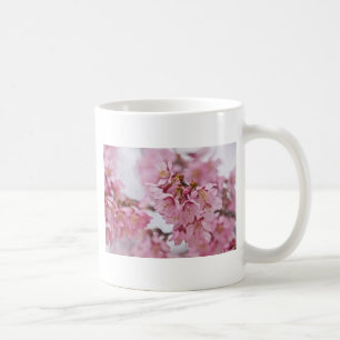 Sakura Kirschblüten Blassrosa Tasse