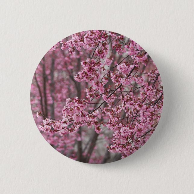 Sakura Kirschblüten Fließendes Rosa Button (Vorderseite)