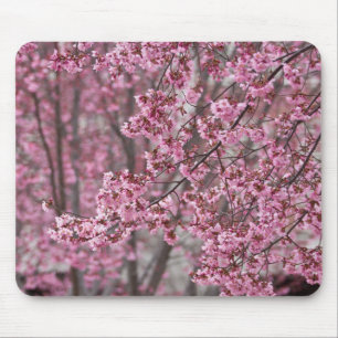 Sakura Kirschblüten Fließendes Rosa Mousepad