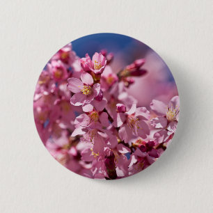 Sakura-Kirschblüten geküsst von Sonnenlicht Button