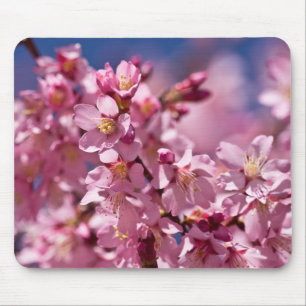 Sakura-Kirschblüten geküsst von Sonnenlicht Mousepad
