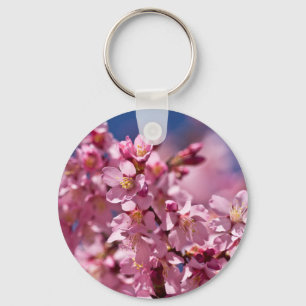 Sakura-Kirschblüten geküsst von Sonnenlicht Schlüsselanhänger