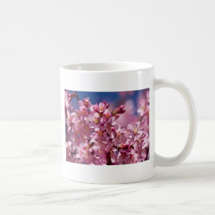 Sakura-Kirschblüten geküsst von Sonnenlicht Tasse