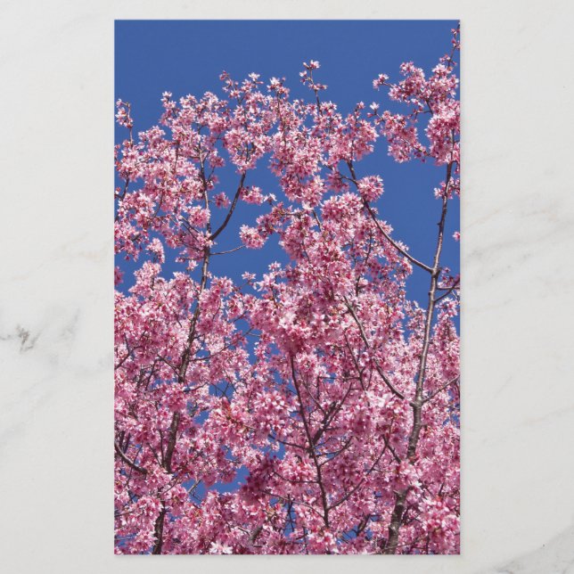 Sakura Kirschblüten im Blauen Briefpapier (Vorderseite)