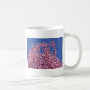 Sakura Kirschblüten im Blauen Kaffeetasse