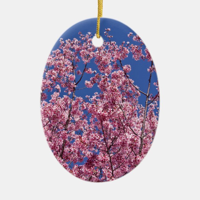 Sakura Kirschblüten im Blauen Keramik Ornament (Vorne)