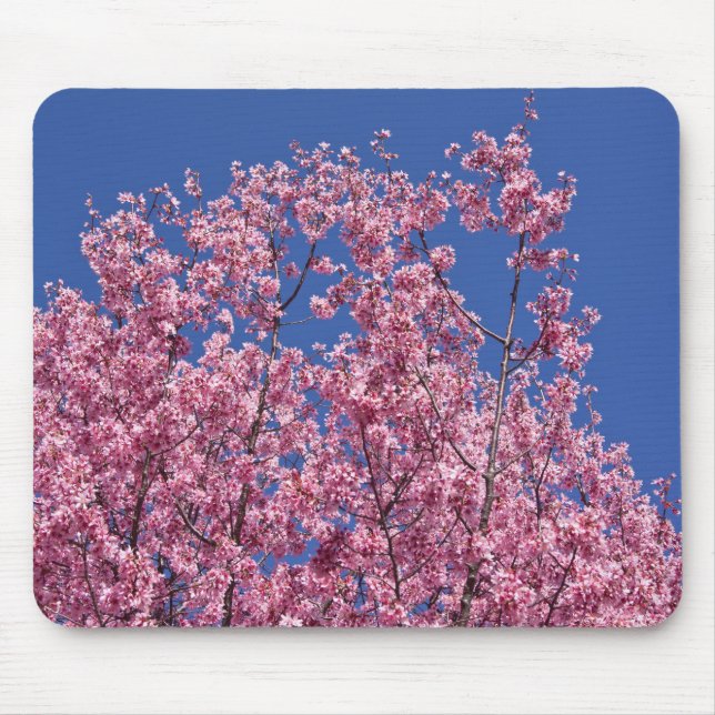 Sakura Kirschblüten im Blauen Mousepad (Vorne)