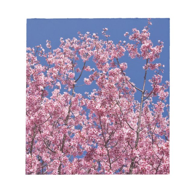 Sakura Kirschblüten im Blauen Notizblock (Vorderseite)