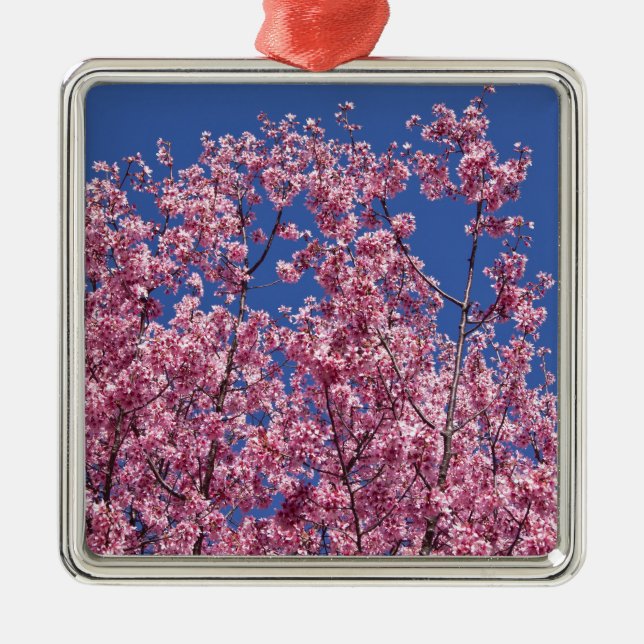 Sakura Kirschblüten im Blauen Silbernes Ornament (Vorne)