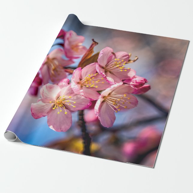 Sakura-Kirschblüten im Wind Geschenkpapier (Ungerollt)