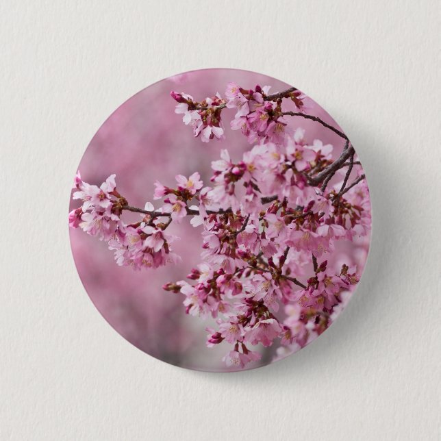 Sakura Kirschblüten pastellrosa Ebenen Button (Vorderseite)